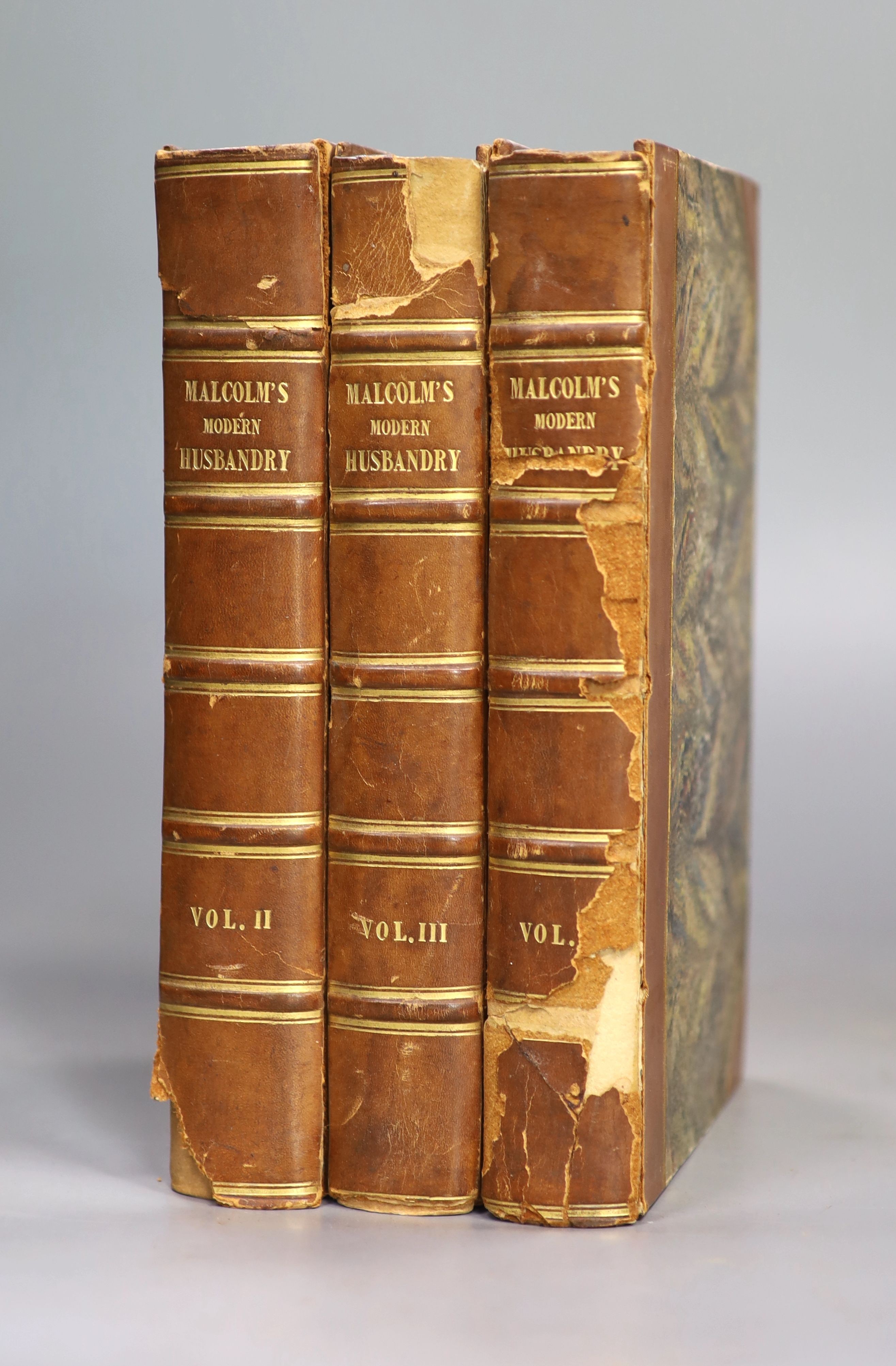 Malcolm, James - A Compendium of Modern Husbandry, Principally written during a Survey of Surrey, 3 vols, 8vo, half calf, spines brittle and with loss, with folding coloured map and 7 plates, London, 1805 and Hale, Thoma